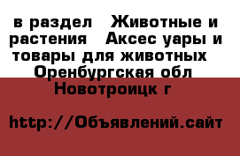  в раздел : Животные и растения » Аксесcуары и товары для животных . Оренбургская обл.,Новотроицк г.